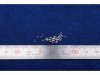 KA Models KC-12002 Rivet Set B (50pcs)